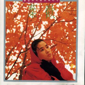 看同性恋撸管射精的免费视频
